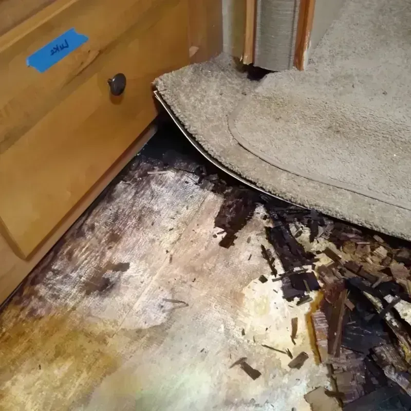 Best Wood Floor Water Damage Service in Carnesville, GA